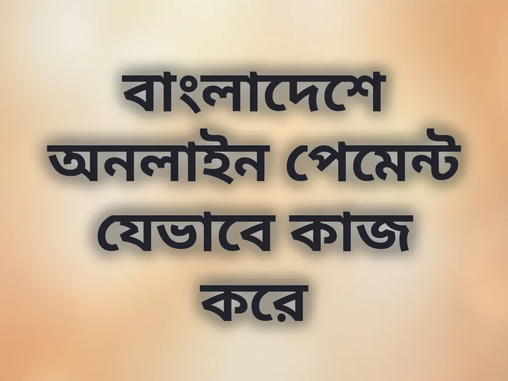 লোকাল পেমেন্ট গাইড
